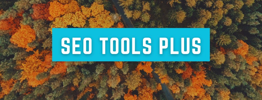 Your SEO Potential with SEO Tools Plus
